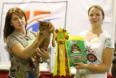 �������� ����� 20-21 �������� 2014 WCF-����� 9-162-169A2333 copy.jpg